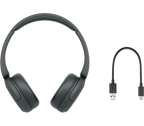 Sony WH-CH520